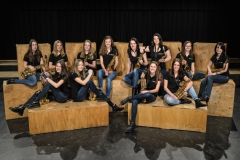 saxophone_20160111_1952163158